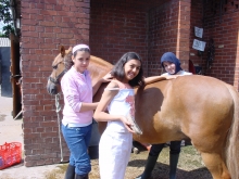 Horse Riding