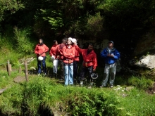 The Group